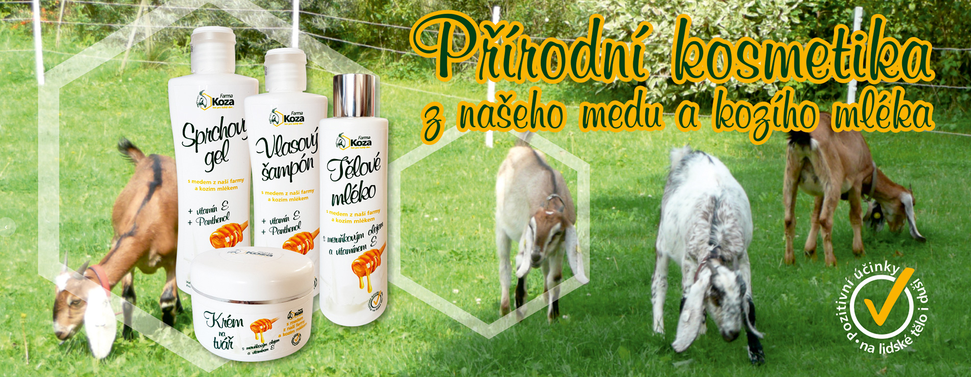 farmakoza_baner2 (1)
